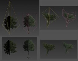 6+24-tri-trees.jpg