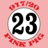 P4-5 Porsche 917/20 Pink Pig