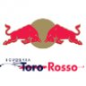 F1 2016 Scuderia Toro Rosso STR11 Livery