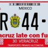 Mexican License Plates