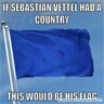 Spotter Sebastian Vettel Blue Flag