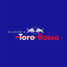 Toro Rosso STR13 (original chasis)