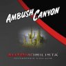 Ambush Canyon for AMS