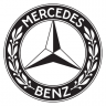 Mercedes 125 years in motorsport livery