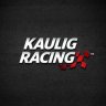 Kaulig F1 Team (Concept)