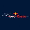 Scuderia Toro Rosso livery