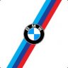 BMW livery by Sean Bull
