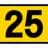 Lotus 79 - Agip Racing #25