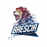 Brescia eSports 2023 FORD PUMA Rally1