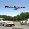 Peugeot Sport Retro 406 ST