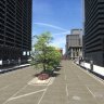 3D Trees Chicago GRID2