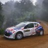 Peugeot 207 IRC livery | Kris Meeke | Paul Nagle | Rally de Curitiba 2009
