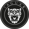 WSC Legends, Jaguar XJ13, 8 cars skinpack