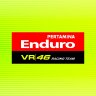 Pertamina Enduro VR46 Racing Team Livery