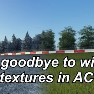 How to turn off seasonal adjustments in Assetto Corsa