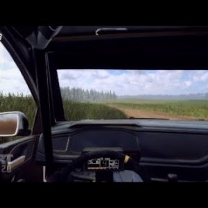 DiRT Rally 2.0 Time Trial Top 100