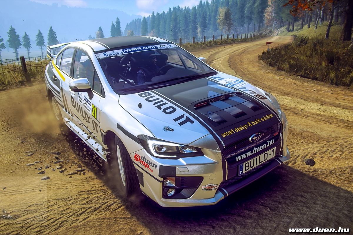 Dirt Rally 2 Screenshot 2021.02.10 - 20.29.01.56.jpg