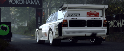 DiRT Rally 2_opt (1).png