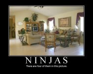 ninjas01motiv.jpg
