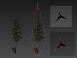 6-tri-trees.jpg