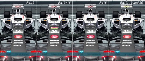 F1 2012_Sauber C31 skins front_3.jpg