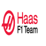 Gloves Team Haas
