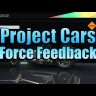 Tutorial FFB Project Cars (French only for now)