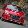 Peugeot 208 R2 PACK of Rally skin