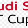 Audi TT CUP 6 skins pack