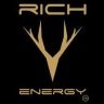 Rich Energy Haas 2019 skin