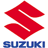 Suzuki RGV 250 Livey Pack Ride 3
