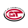 RSS GT-N UI Real Names FIA GT Brand