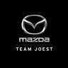 Mazda Team Joest 2020 IMSA Skin Pack