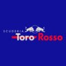 TORO ROSSO 2019 CLOTHE AND GARAGE