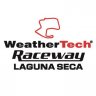 Laguna Seca 2019 IMSA & Indycar Retexture (Content Manager Skin)