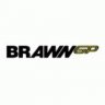 Brawn GP logo for My Team