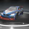BMW GT4 Fast Track Racing