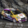 DiRT Rally 2.0 | Peugeot 208 R2 | R.Somaschini / G.Zanchetta - correreperunrespiro