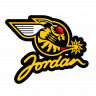 Jordan Hornets livery for RSS Hybrid 2020
