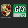 Porsche_991_GT3R-Skins