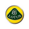 Lotus 2014 Livery