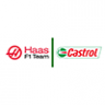 Haas Castrol F1 Team