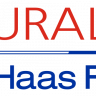 2021 Uralkali Haas helmet for career mode