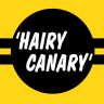 The 'Hairy Canary'