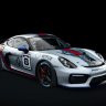 Porsche cayman GT4 Clubsport "STARS"