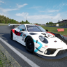 Porsche Virtual Le Mans #91 #92