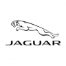 Jaguar Williams Racing Concept Livery(Testing)