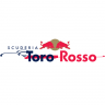 RSS Formula 2013 V8 Toro Rosso STR8 2013