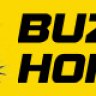 Porsche_911_gt3_r_2016 Buzzin Hornets Skin