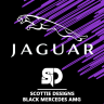 HSBC Jaguar F1 Team - MY TEAM